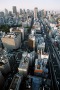Metropolis